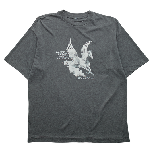 SK x Springy Gray Pegasus Tee - M