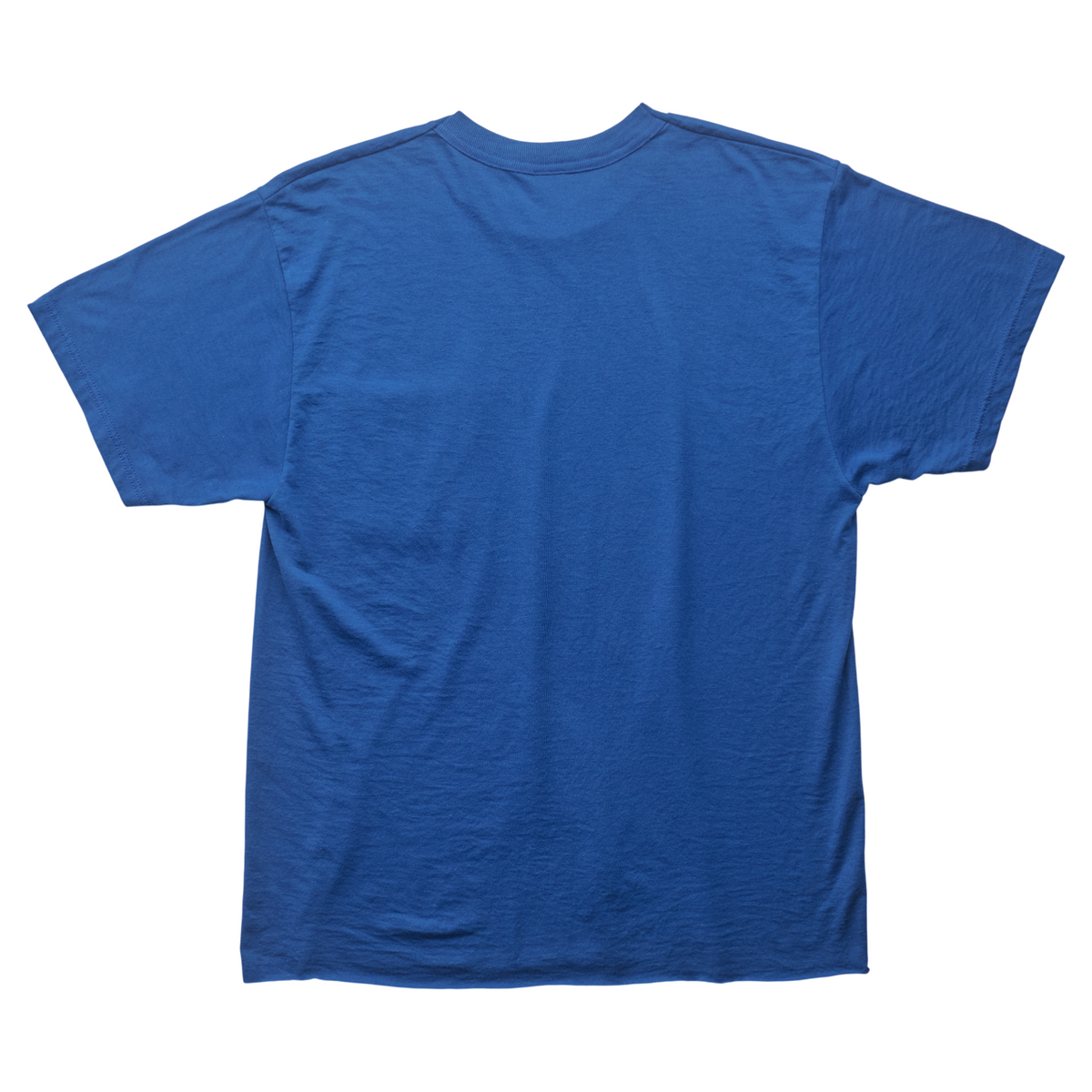 SK x Springy Blue Pegasus Tee - M