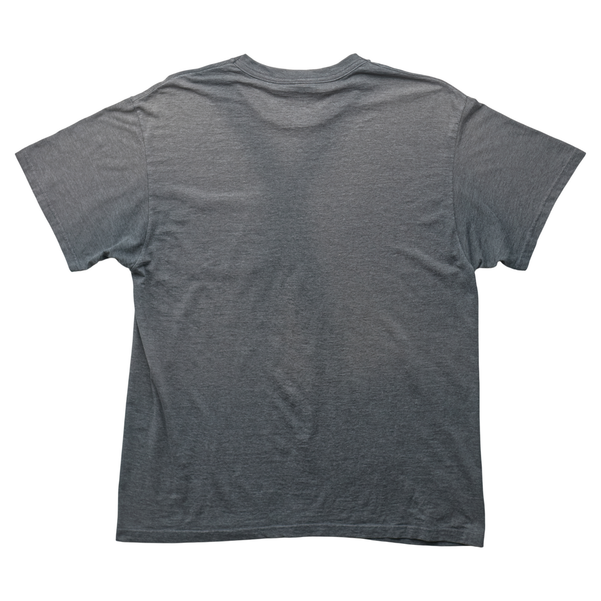 SK x Springy Gray Pegasus Tee - L