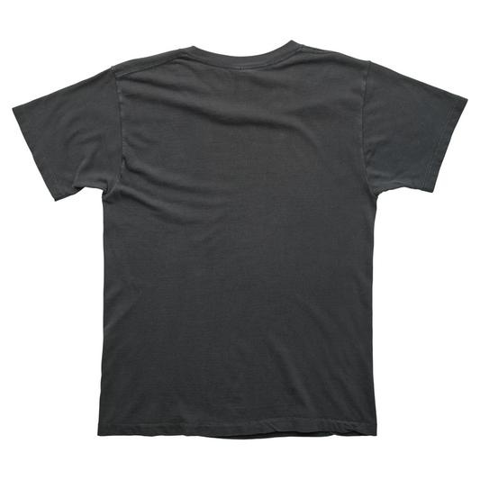 SK x Springy Black Pegasus Tee - S
