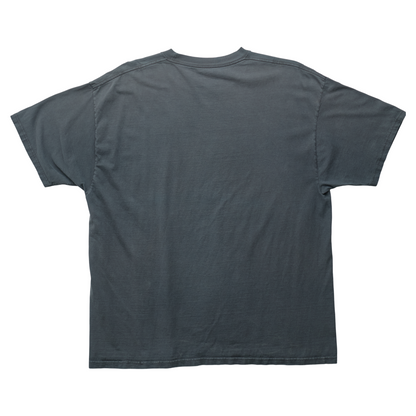 SK x Springy Gray Pegasus Tee - 2XL