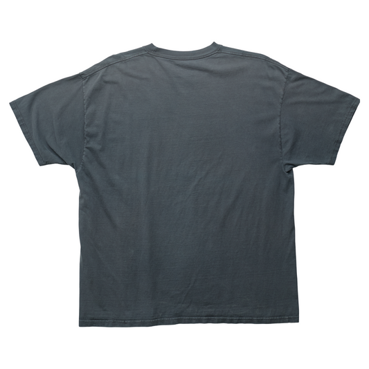 SK x Springy Gray Pegasus Tee - 2XL
