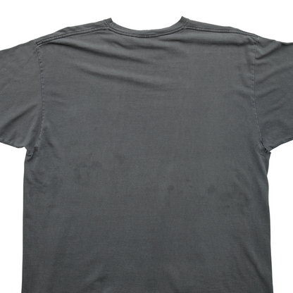 SK x Springy Gray Pegasus Tee - XL