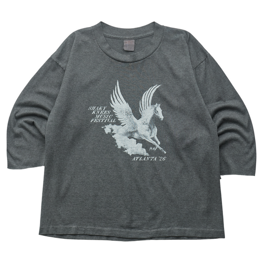 SK x Springy Gray Pegasus Tee - S